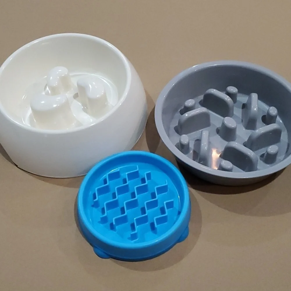 Dog Bowls 3 White, Gray And Blue for Healthy Feeding